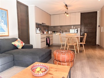 Arriendo Mensual / Departamento / Providencia