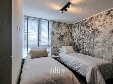 Imagen 11