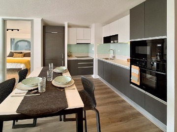 Arriendo Mensual / Departamento / Providencia