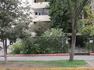 Arriendo Mensual / Departamento / Providencia