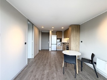Arriendo Mensual / Departamento / Providencia