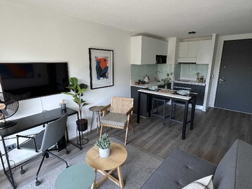 Arriendo Mensual / Departamento / Providencia