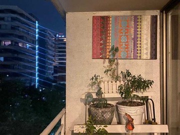Arriendo Mensual / Departamento / Providencia