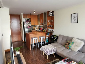 Arriendo Mensual / Departamento / Providencia