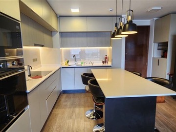 Arriendo Mensual / Departamento / Providencia