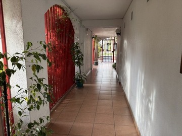 Imagen 12