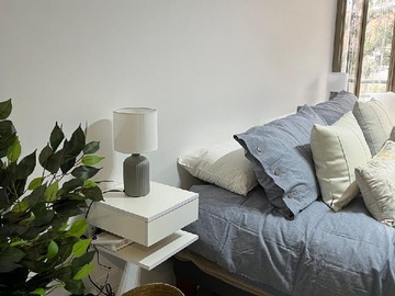 Arriendo Mensual / Departamento / Providencia