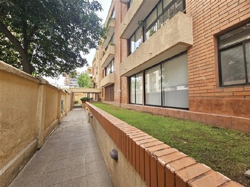 Imagen 11