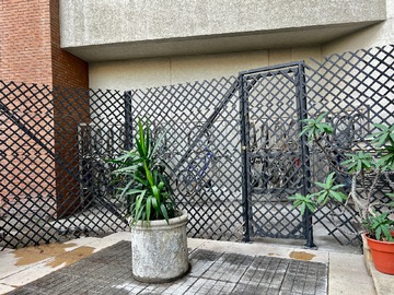 Imagen 20