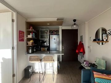 Arriendo Mensual / Departamento / Providencia