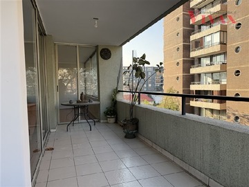 Imagen 6