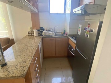 Arriendo Mensual / Departamento / Providencia