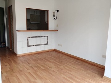 Arriendo Mensual / Departamento / Providencia