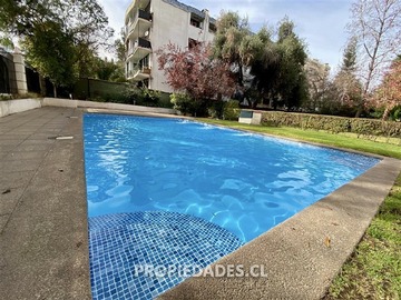 Imagen 11