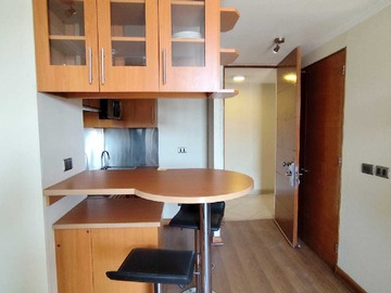 Arriendo Mensual / Departamento / Providencia