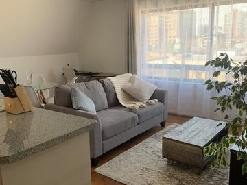 Arriendo Mensual / Departamento / Providencia