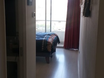 Imagen 5