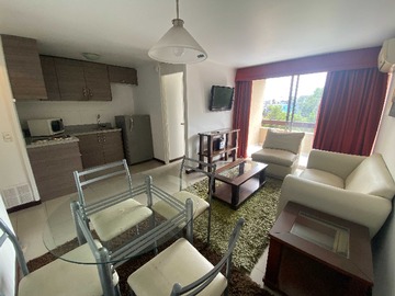 Arriendo Mensual / Departamento / Providencia