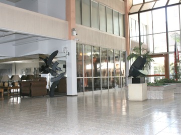 Imagen 7