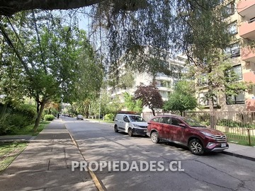 Imagen 23