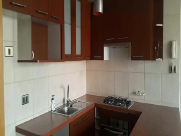 Arriendo Mensual / Departamento / Providencia