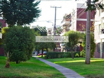 Imagen 11