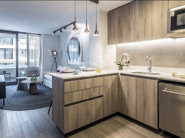 Arriendo Mensual / Departamento / Providencia