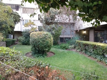 Imagen 14