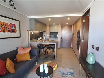Arriendo Mensual / Departamento / Providencia