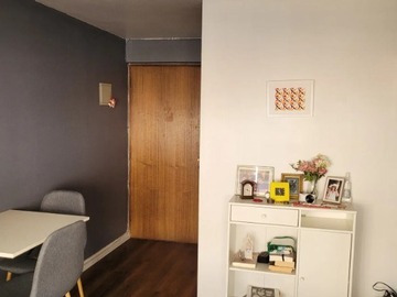 Arriendo Mensual / Departamento / Providencia
