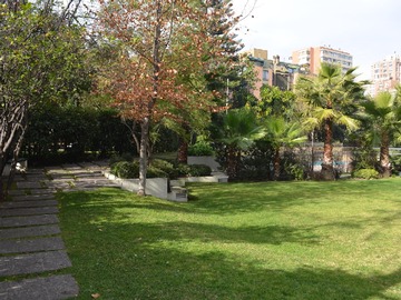 Imagen 26