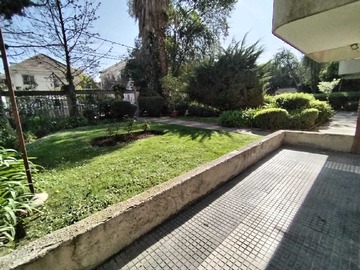 Imagen 19