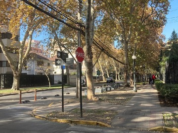Imagen 7