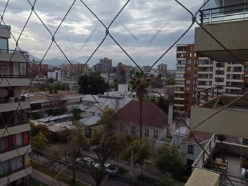Imagen 6