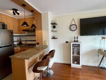 Arriendo Mensual / Departamento / Providencia