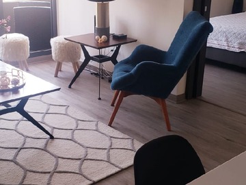 Arriendo Mensual / Departamento / Providencia