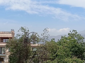 Arriendo Mensual / Departamento / Providencia