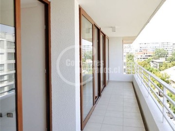 Imagen 13