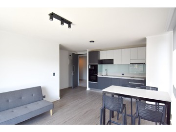 Arriendo Mensual / Departamento / Providencia