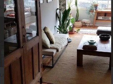 Arriendo Mensual / Departamento / Providencia