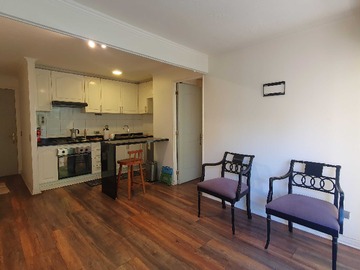 Arriendo Mensual / Departamento / Providencia
