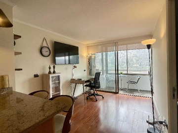 Arriendo Mensual / Departamento / Providencia