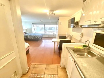 Arriendo Mensual / Departamento / Providencia