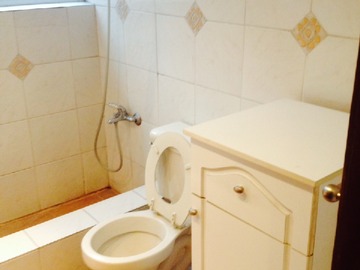 Arriendo Mensual / Departamento / Providencia