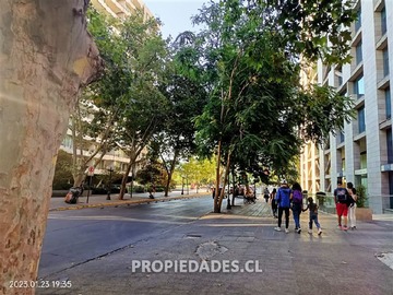 Imagen 10