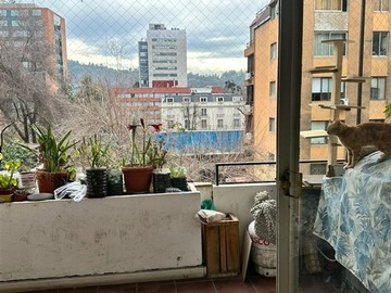 Imagen 5