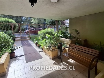 Imagen 19