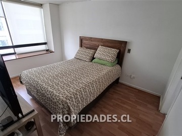 Imagen 12