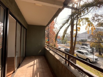 Imagen 11