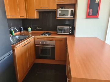 Arriendo Mensual / Departamento / Providencia